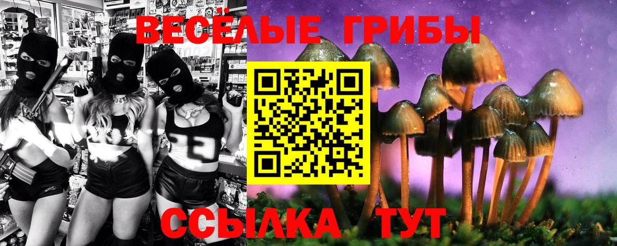 Галлюциногенные грибы Cubensis  Вход с VPN  Татарск  Галлюциногенные грибы ЛСД 